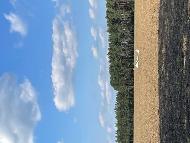 2023_08_26_Aylin_Landung (4)